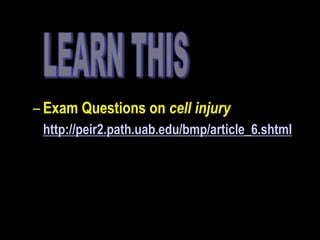 – Exam Questions on cell injury
– http://peir2.path.uab.edu/bmp/article_6.shtml
 