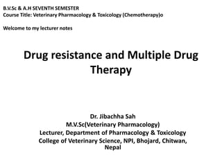 Drug resistance and Multiple Drug
Therapy
Dr. Jibachha Sah
M.V.Sc(Veterinary Pharmacology)
Lecturer, Department of Pharmacology & Toxicology
College of Veterinary Science, NPI, Bhojard, Chitwan,
Nepal
B.V.Sc & A.H SEVENTH SEMESTER
Course Title: Veterinary Pharmacology & Toxicology (Chemotherapy)o
Welcome to my lecturer notes
 