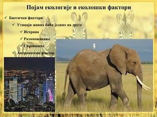 Појам екологије и еколошки фактори
 Биотички фактори
 Утицаји живих бића једних на друге
 Исхрана
 Размножавање
 Скровиште
 Антропогени фактор
 