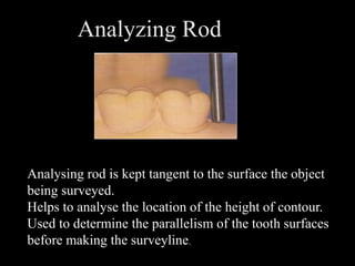 1. surveyor | PPT