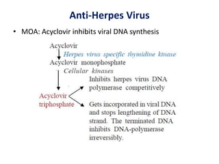 Anti-Herpes Virus
• MOA: Acyclovir inhibits viral DNA synthesis
 