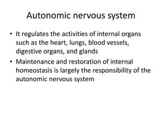 Autonomic nervous system
• It regulates the activities of internal organs
such as the heart, lungs, blood vessels,
digestive organs, and glands
• Maintenance and restoration of internal
homeostasis is largely the responsibility of the
autonomic nervous system
 