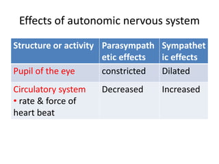 Effects of autonomic nervous system
Structure or activity Parasympath
etic effects
Sympathet
ic effects
Pupil of the eye constricted Dilated
Circulatory system
• rate & force of
heart beat
Decreased Increased
 