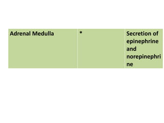 Adrenal Medulla * Secretion of
epinephrine
and
norepinephri
ne
 