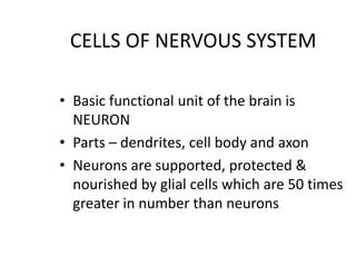 CELLS OF NERVOUS SYSTEM
• Basic functional unit of the brain is
NEURON
• Parts – dendrites, cell body and axon
• Neurons are supported, protected &
nourished by glial cells which are 50 times
greater in number than neurons
 