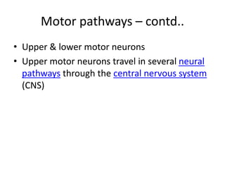 Motor pathways – contd..
• Upper & lower motor neurons
• Upper motor neurons travel in several neural
pathways through the central nervous system
(CNS)
 