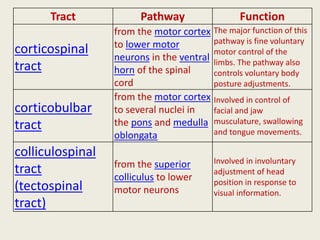 Tract Pathway Function
corticospinal
tract
from the motor cortex
to lower motor
neurons in the ventral
horn of the spinal
cord
The major function of this
pathway is fine voluntary
motor control of the
limbs. The pathway also
controls voluntary body
posture adjustments.
corticobulbar
tract
from the motor cortex
to several nuclei in
the pons and medulla
oblongata
Involved in control of
facial and jaw
musculature, swallowing
and tongue movements.
colliculospinal
tract
(tectospinal
tract)
from the superior
colliculus to lower
motor neurons
Involved in involuntary
adjustment of head
position in response to
visual information.
 