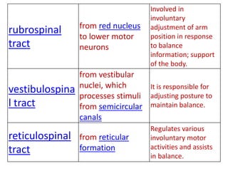 rubrospinal
tract
from red nucleus
to lower motor
neurons
Involved in
involuntary
adjustment of arm
position in response
to balance
information; support
of the body.
vestibulospina
l tract
from vestibular
nuclei, which
processes stimuli
from semicircular
canals
It is responsible for
adjusting posture to
maintain balance.
reticulospinal
tract
from reticular
formation
Regulates various
involuntary motor
activities and assists
in balance.
 
