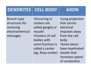 DENDRITES CELL BODY AXON
Branch type
structures for
receiving
electrochemical
messages
•Occurring in
clusters are
called ganglia or
neuclei
•Clusters of cell
bodies with
same function is
called a center
(eg. Resp center)
•Long projection
that carries
electrical
impulses away
from the cell
body
•Some axons
have myelinated
sheath that
increases speed
of conduction
 