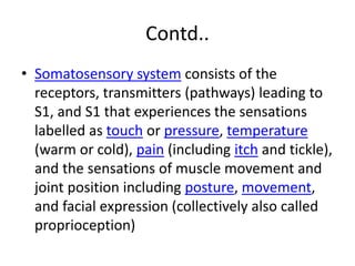 Contd..
• Somatosensory system consists of the
receptors, transmitters (pathways) leading to
S1, and S1 that experiences the sensations
labelled as touch or pressure, temperature
(warm or cold), pain (including itch and tickle),
and the sensations of muscle movement and
joint position including posture, movement,
and facial expression (collectively also called
proprioception)
 