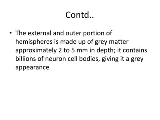 Contd..
• The external and outer portion of
hemispheres is made up of grey matter
approximately 2 to 5 mm in depth; it contains
billions of neuron cell bodies, giving it a grey
appearance
 