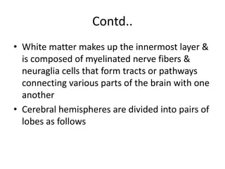 Contd..
• White matter makes up the innermost layer &
is composed of myelinated nerve fibers &
neuraglia cells that form tracts or pathways
connecting various parts of the brain with one
another
• Cerebral hemispheres are divided into pairs of
lobes as follows
 