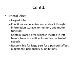 Contd..
• Frontal lobe:
– Largest lobe
– Functions – concentration, abstract thought,
information storage, or memory and motor
function
– Contain Broca’s area which is located in left
hemisphere & is critical for motor control of
speech
– Responsible for large part for a person’s affect,
judgement, personality & inhibitions
 
