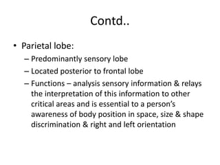 Contd..
• Parietal lobe:
– Predominantly sensory lobe
– Located posterior to frontal lobe
– Functions – analysis sensory information & relays
the interpretation of this information to other
critical areas and is essential to a person’s
awareness of body position in space, size & shape
discrimination & right and left orientation
 