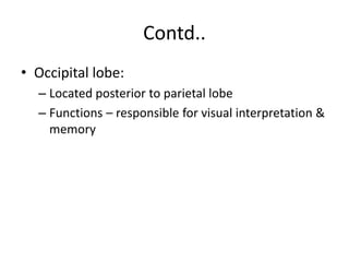 Contd..
• Occipital lobe:
– Located posterior to parietal lobe
– Functions – responsible for visual interpretation &
memory
 