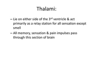 Thalami:
– Lie on either side of the 3rd ventricle & act
primarily as a relay station for all sensation except
smell
– All memory, sensation & pain impulses pass
through this section of brain
 