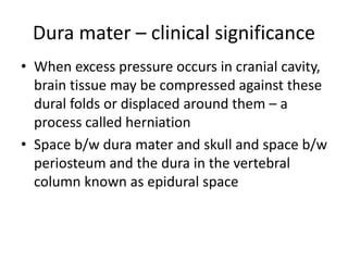 Dura mater – clinical significance
• When excess pressure occurs in cranial cavity,
brain tissue may be compressed against these
dural folds or displaced around them – a
process called herniation
• Space b/w dura mater and skull and space b/w
periosteum and the dura in the vertebral
column known as epidural space
 