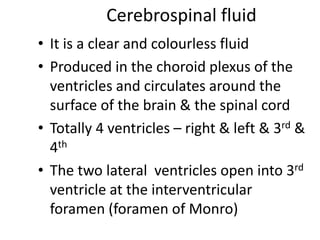 Cerebrospinal fluid
• It is a clear and colourless fluid
• Produced in the choroid plexus of the
ventricles and circulates around the
surface of the brain & the spinal cord
• Totally 4 ventricles – right & left & 3rd &
4th
• The two lateral ventricles open into 3rd
ventricle at the interventricular
foramen (foramen of Monro)
 