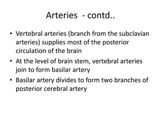 Arteries - contd..
• Vertebral arteries (branch from the subclavian
arteries) supplies most of the posterior
circulation of the brain
• At the level of brain stem, vertebral arteries
join to form basilar artery
• Basilar artery divides to form two branches of
posterior cerebral artery
 