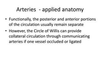 Arteries - applied anatomy
• Functionally, the posterior and anterior portions
of the circulation usually remain separate
• However, the Circle of Willis can provide
collateral circulation through communicating
arteries if one vessel occluded or ligated
 