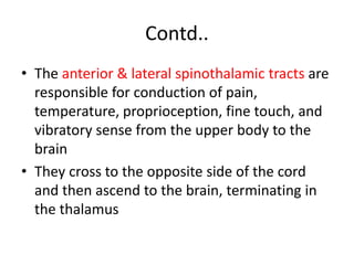 Contd..
• The anterior & lateral spinothalamic tracts are
responsible for conduction of pain,
temperature, proprioception, fine touch, and
vibratory sense from the upper body to the
brain
• They cross to the opposite side of the cord
and then ascend to the brain, terminating in
the thalamus
 