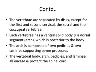 Contd..
• The vertebrae are separated by disks, except for
the first and second cervical, the sacral and the
coccygeal vertebrae
• Each vertebrae has a ventral solid body & a dorsal
segment (arch), which is posterior to the body
• The arch is composed of two pedicles & two
laminae supporting seven processes
• The vertebral body, arch, pedicles, and laminae
all encase & protect the spinal cord
 