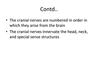 Contd..
• The cranial nerves are numbered in order in
which they arise from the brain
• The cranial nerves innervate the head, neck,
and special sense structures
 