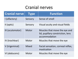 Cranial nerves
Cranial nerve Type Function
I (olfactory) Sensory Sense of smell
II (optic) Sensory Visual acuity and visual fields
III (oculomotor) Motor Muscles that move the eye and
lid, pupillary constriction, lens
accommodation
IV (trochlear) Motor Muscles that move the eye
V (trigeminal) Mixed Facial sensation, corneal reflex,
mastication
VI (abducens) Motor Muscles that move the eye
 