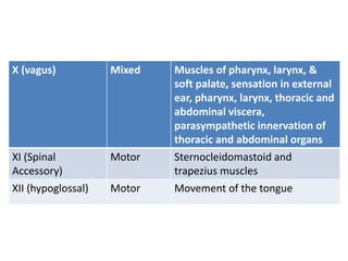 X (vagus) Mixed Muscles of pharynx, larynx, &
soft palate, sensation in external
ear, pharynx, larynx, thoracic and
abdominal viscera,
parasympathetic innervation of
thoracic and abdominal organs
XI (Spinal
Accessory)
Motor Sternocleidomastoid and
trapezius muscles
XII (hypoglossal) Motor Movement of the tongue
 
