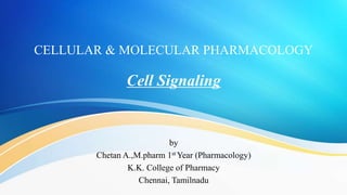 CELLULAR & MOLECULAR PHARMACOLOGY
Cell Signaling
by
Chetan A.,M.pharm 1st Year (Pharmacology)
K.K. College of Pharmacy
Chennai, Tamilnadu
 