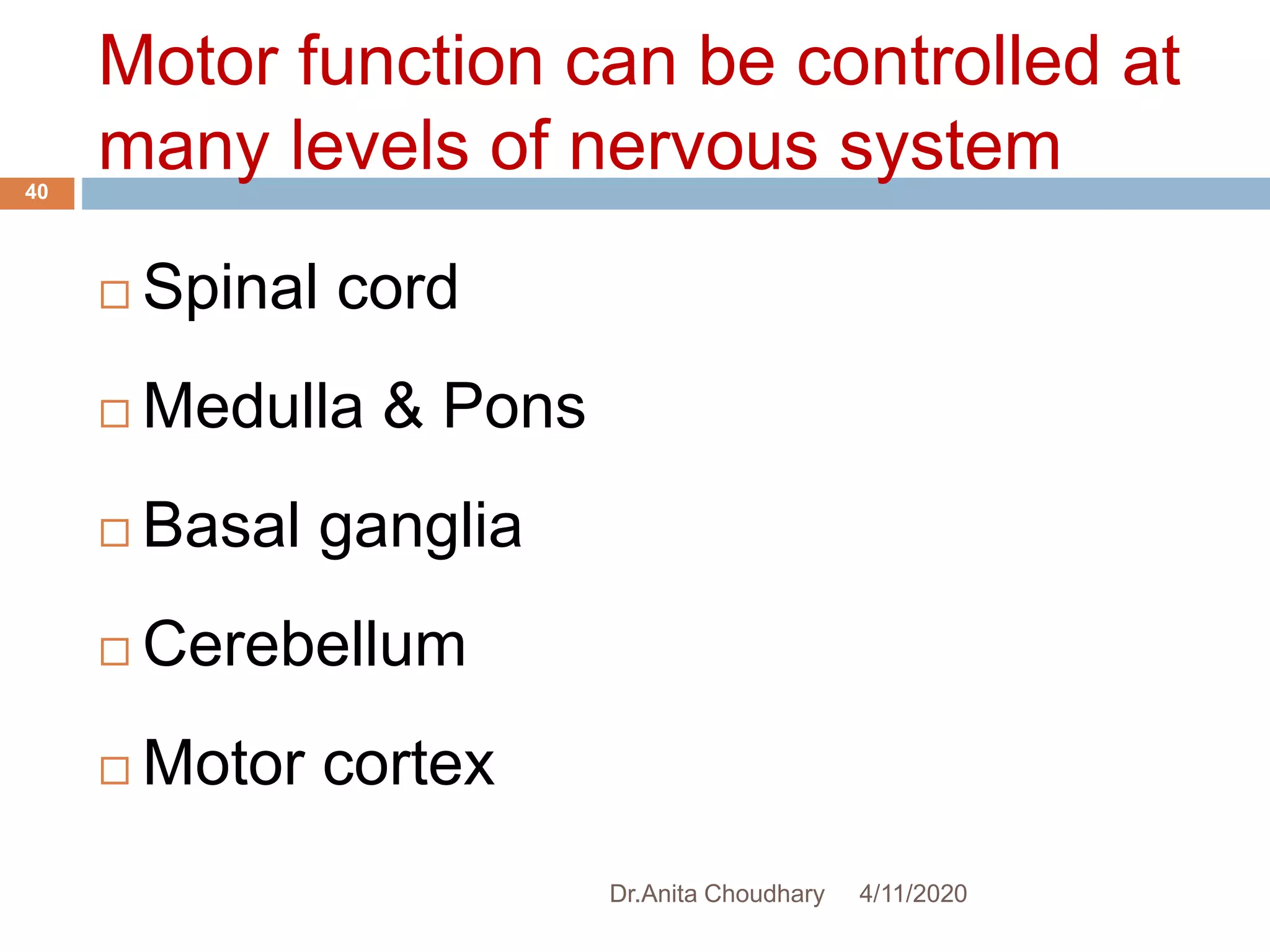 1. Central Nervous System - Functional Organization (Physiology) | PPTX