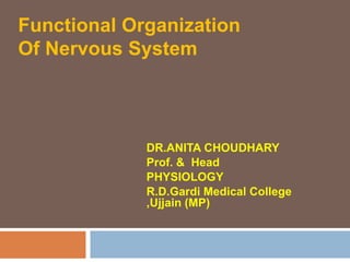Functional Organization
Of Nervous System
DR.ANITA CHOUDHARY
Prof. & Head
PHYSIOLOGY
R.D.Gardi Medical College
,Ujjain (MP)
 