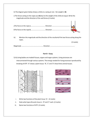 C) The diagram given below shows a child on a swing at rest. Her weight is W.
i) The forces acting on the ropes a andb due to the weight of the child are equal. Write the
magnitude and the direction of the said forces.(2 marks)
aThe force on the rope a ………………………………. Direction …………………………………………….
bThe force on the rope b ………………………………. Direction …………………………………………….
iii) Mention the magnitude and the direction of the resultantof the two forces acting along the
ropes.
(2 marks)
Magnitude ……………………………………………….. Direction ……………………………………………………….
Part B – Essay
5) A) Living bodies are madeof tissues, organs and organ systems. Living processes are
interconnected through various systems. The energy needed for living processes isproduced by
breaking of ATP. ‘A’ shows a plant tissue. ‘B’, ‘C’ and ‘D’ show three animal tissues.
i. Write two functions of the plant tissue ‘A’. (2 marks)
ii. State what type ofmuscle tissue is ‘B’ and ‘C’ each. (2 marks)
iii. Name two functions of ATP. (2 marks)
W
b
W
a
W
B
C
D
A
 