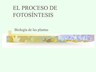 EL PROCESO DE
FOTOSÍNTESIS
Biología de las plantas
 