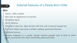 Vernox Rash 1. pedologic anatomy with special emphasis on its applied | PPTX