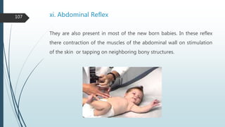 1. pedologic anatomy with special emphasis on its applied | PPTX