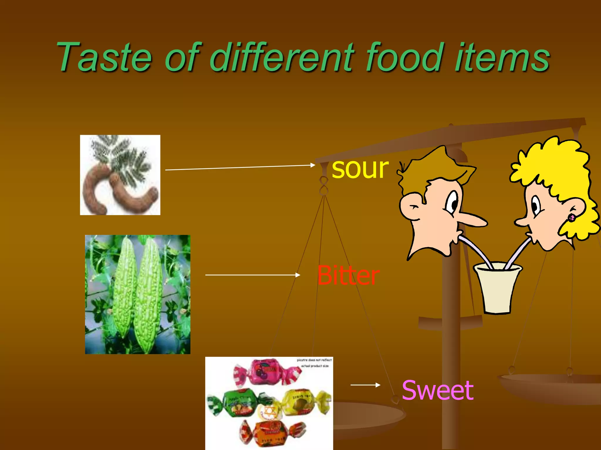Taste of different food items
sour
Bitter
Sweet
 