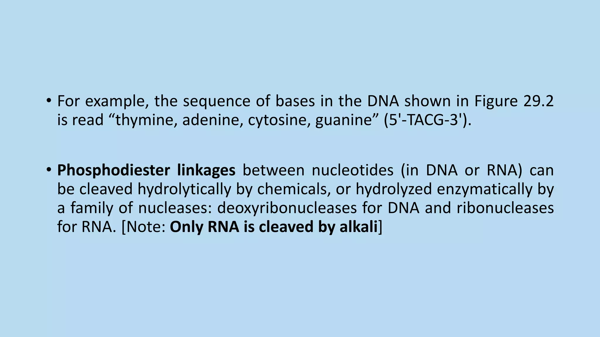 • For example, the sequence of bases in the DNA shown in Figure 29.2
is read “thymine, adenine, cytosine, guanine” (5'-TACG-3').
• Phosphodiester linkages between nucleotides (in DNA or RNA) can
be cleaved hydrolytically by chemicals, or hydrolyzed enzymatically by
a family of nucleases: deoxyribonucleases for DNA and ribonucleases
for RNA. [Note: Only RNA is cleaved by alkali]
 