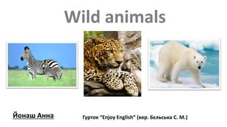 Йонаш Анна
Wild animals
Гурток “Enjoy English” (кер. Бєльська С. М.)
 