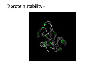 protein stability -
 