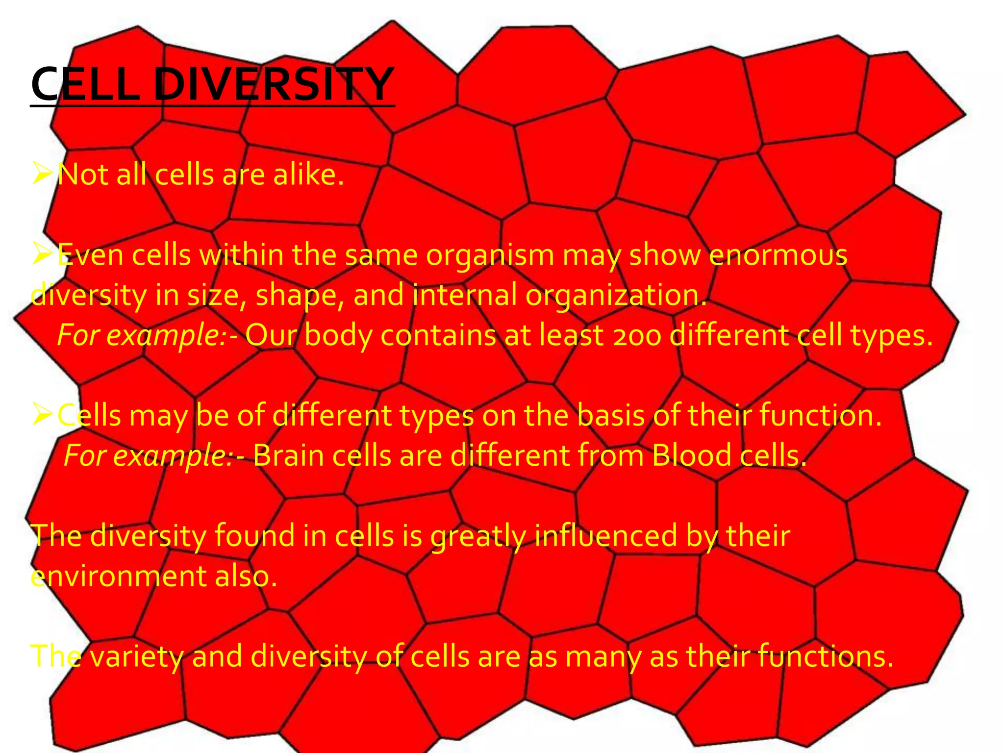 CELL DIVERSITY
Not all cells are alike.
Even cells within the same organism may show enormous
diversity in size, shape, and internal organization.
For example:- Our body contains at least 200 different cell types.
Cells may be of different types on the basis of their function.
For example:- Brain cells are different from Blood cells.
The diversity found in cells is greatly influenced by their
environment also.
The variety and diversity of cells are as many as their functions.
 