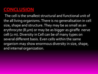 Diversity of cell size & shape By KK Sahu Sir | PPT