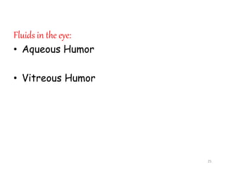 Fluids in the eye:
• Aqueous Humor
• Vitreous Humor
25
 
