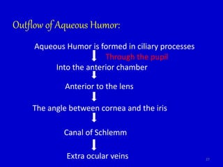 Outflow of Aqueous Humor:
Aqueous Humor is formed in ciliary processes
Into the anterior chamber
Through the pupil
Anterior to the lens
The angle between cornea and the iris
Canal of Schlemm
Extra ocular veins 27
 