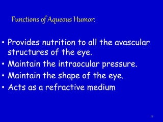 Functions of Aqueous Humor:
• Provides nutrition to all the avascular
structures of the eye.
• Maintain the intraocular pressure.
• Maintain the shape of the eye.
• Acts as a refractive medium
28
 