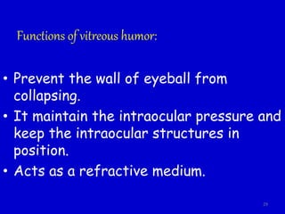 Functions of vitreous humor:
• Prevent the wall of eyeball from
collapsing.
• It maintain the intraocular pressure and
keep the intraocular structures in
position.
• Acts as a refractive medium.
29
 
