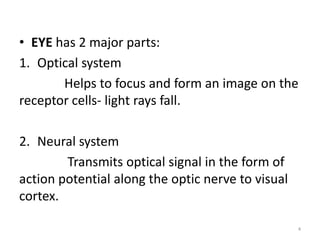 • EYE has 2 major parts:
1. Optical system
Helps to focus and form an image on the
receptor cells- light rays fall.
2. Neural system
Transmits optical signal in the form of
action potential along the optic nerve to visual
cortex.
4
 