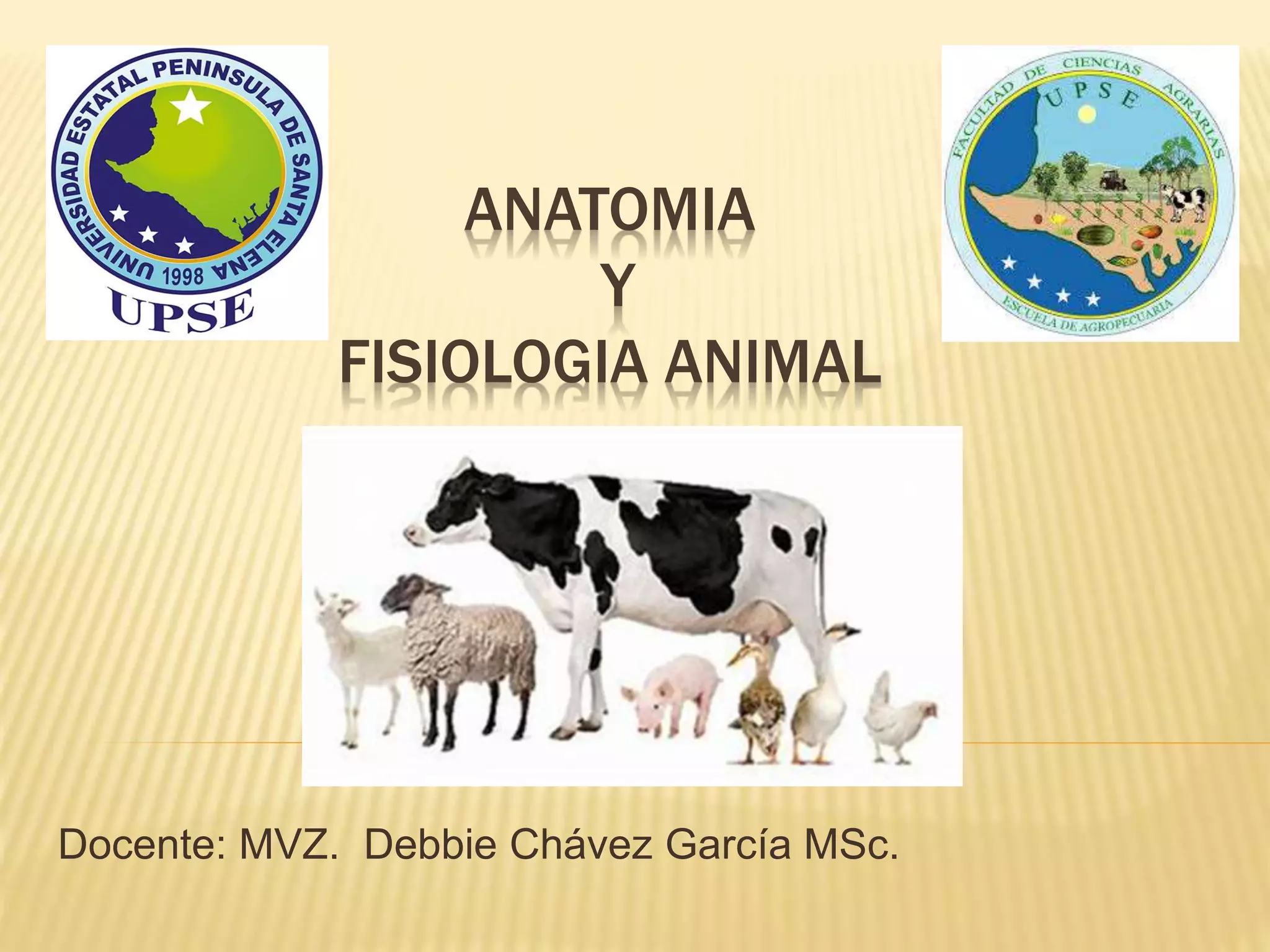 1.1 conceptos generales de anatomía y fisiología animal | PPTX