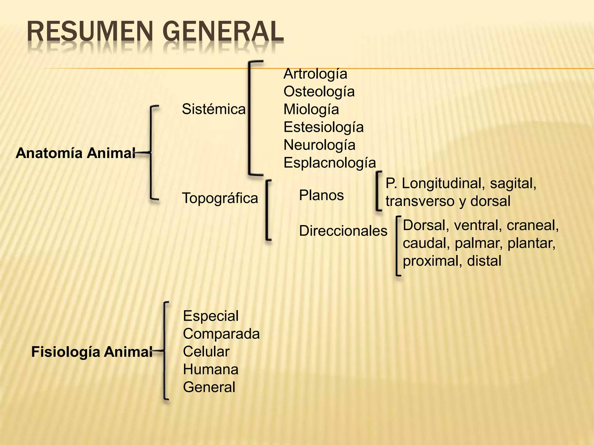 1.1 conceptos generales de anatomía y fisiología animal | PPTX