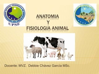 ANATOMIA
Y
FISIOLOGIA ANIMAL
Docente: MVZ. Debbie Chávez García MSc.
 